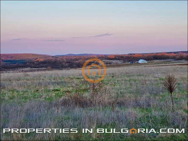На продаж  Сюжет область Варна , Генерал Кантарджиево , 6368 кв.м | 95764941 - зображення [6]