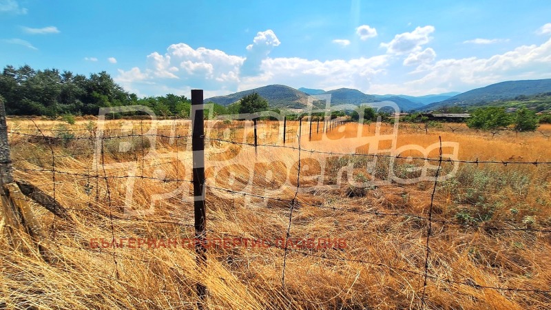 Продава ПАРЦЕЛ, с. Козарско, област Пазарджик, снимка 3 - Парцели - 53183139