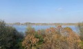 Продава КЪЩА, с. Ботево, област Видин, снимка 5
