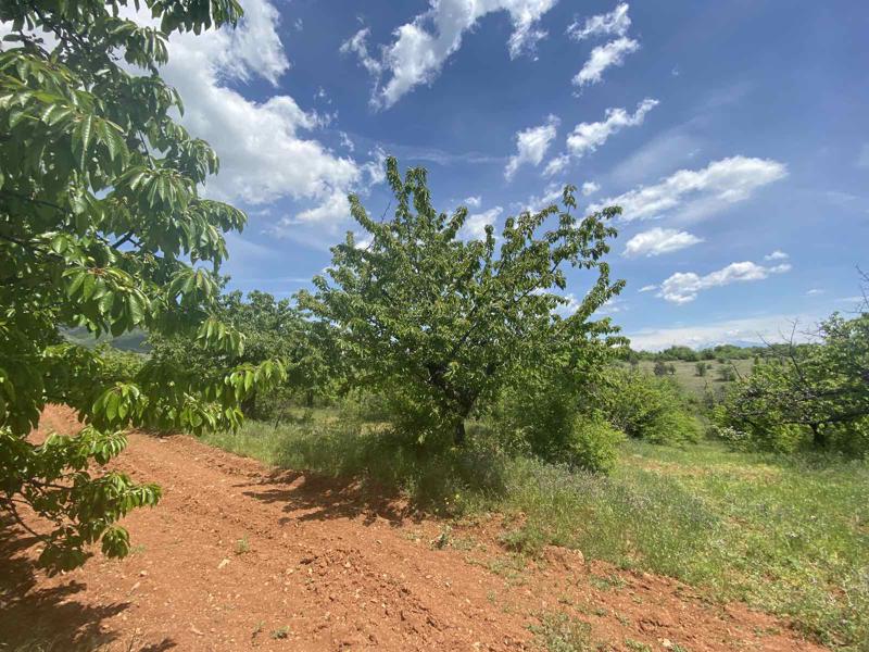 ������� ���������� ���� | Imot.bg � ����������� 1