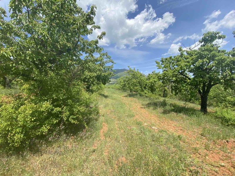 ������� ���������� ���� | Imot.bg � ����������� 4