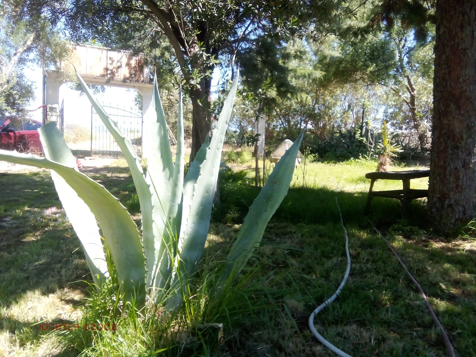 ������� ������, ����� | Imot.bg � ����������� 11