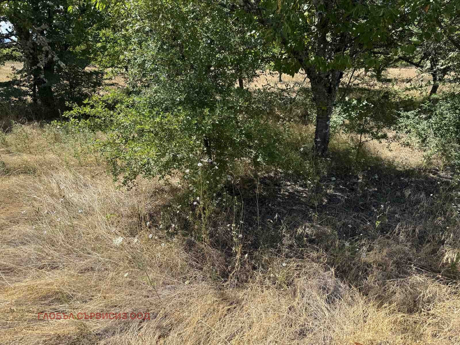 ������� ���������� ���� | Imot.bg � ����������� 13