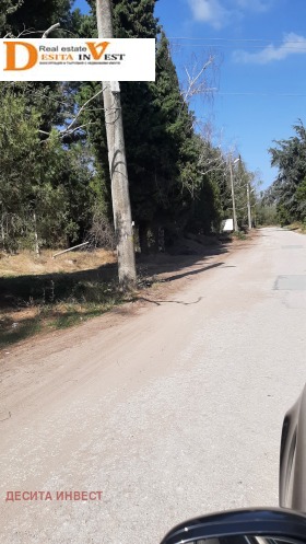 Complot m-t Boroveț - iug, Varna 4