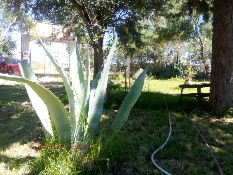 Продава АТЕЛИЕ, ТАВАН, Извън страната, област Извън страната, снимка 11 - Апартаменти - 52862312