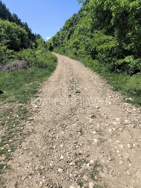 Na prodej  Spiknutí oblast Veliko Tarnovo , Arbanasi , 601 m2 | 95843047