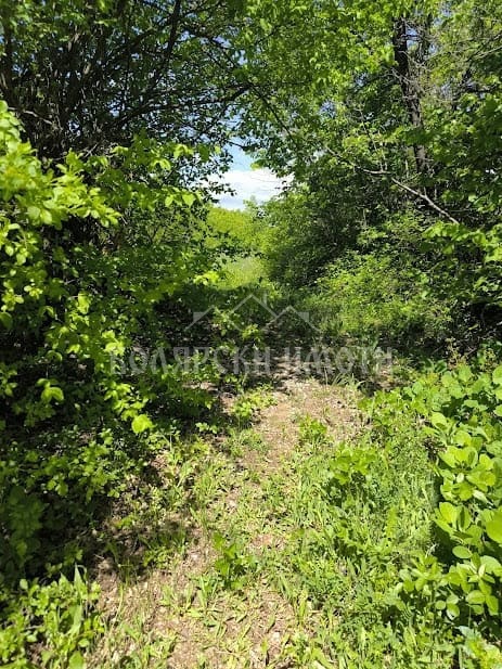 Na prodej  Spiknutí oblast Veliko Tarnovo , Arbanasi , 601 m2 | 95843047 - obraz [4]