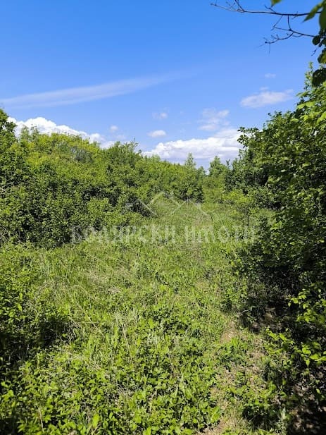 Na prodej  Spiknutí oblast Veliko Tarnovo , Arbanasi , 601 m2 | 95843047 - obraz [5]