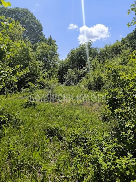 Na prodej  Spiknutí oblast Veliko Tarnovo , Arbanasi , 601 m2 | 95843047 - obraz [6]
