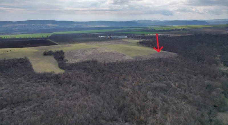 Продава ПАРЦЕЛ, с. Порой, област Бургас, снимка 4 - Парцели - 53523275