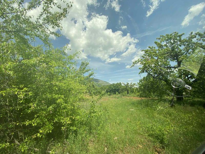 En venta  Tierra región Kyustendil , Gorna Grashtitsa , 2.3 dka | 36787361 - imagen [3]