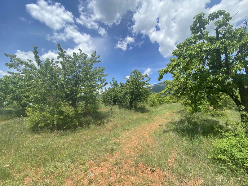 En venta  Tierra región Kyustendil , Gorna Grashtitsa , 2.3 dka | 36787361 - imagen [2]