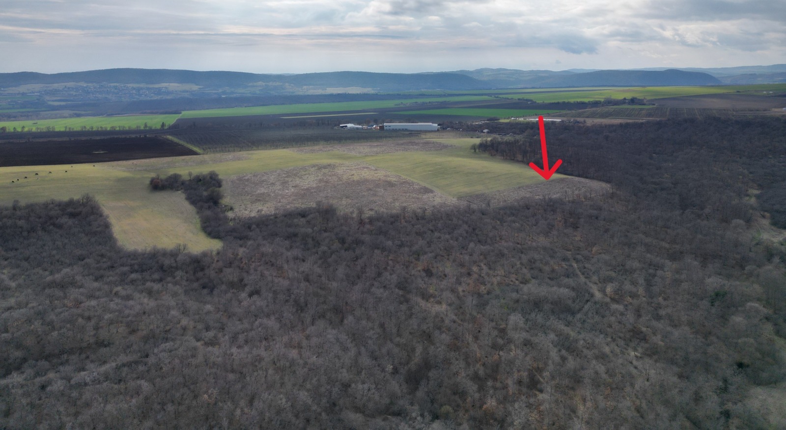 Продава ПАРЦЕЛ, с. Порой, област Бургас, снимка 3 - Парцели - 53523275