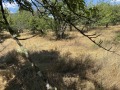 Продава  Земеделска земя област Кюстендил , с. Горна Гращица , 2.34 дка | 16583450 - изображение [15]