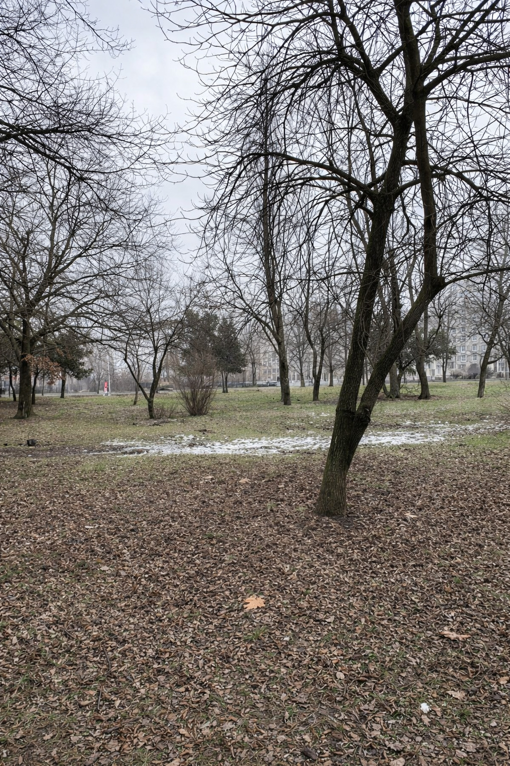 ������� 2-����� | Imot.bg � ����������� 10