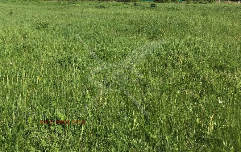 Продава ПАРЦЕЛ, с. Първенец, област Пловдив