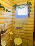 Продава КЪЩА, с. Кулина вода, област Плевен, снимка 10