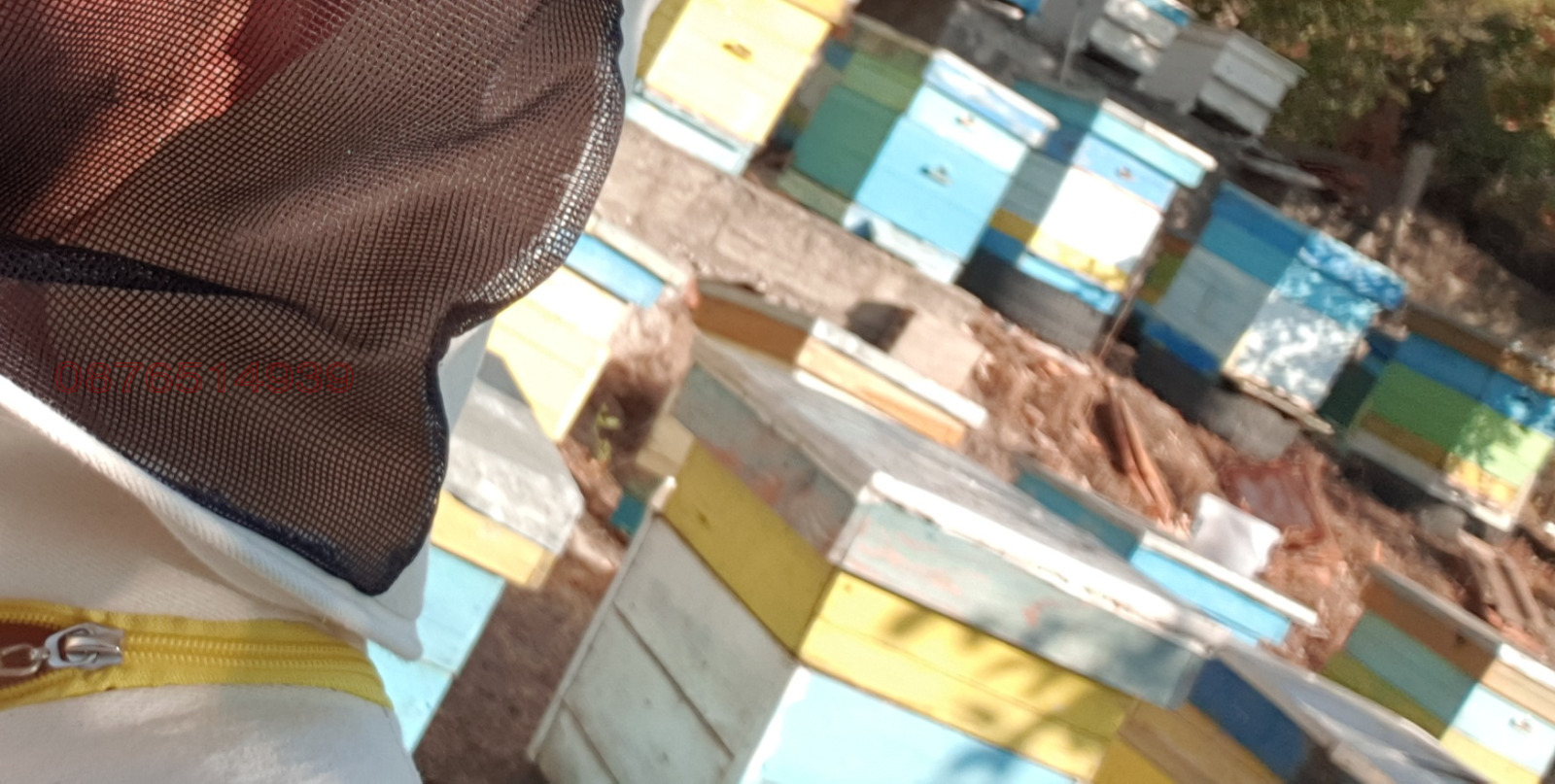 ������� ������ | Imot.bg � ����������� 10