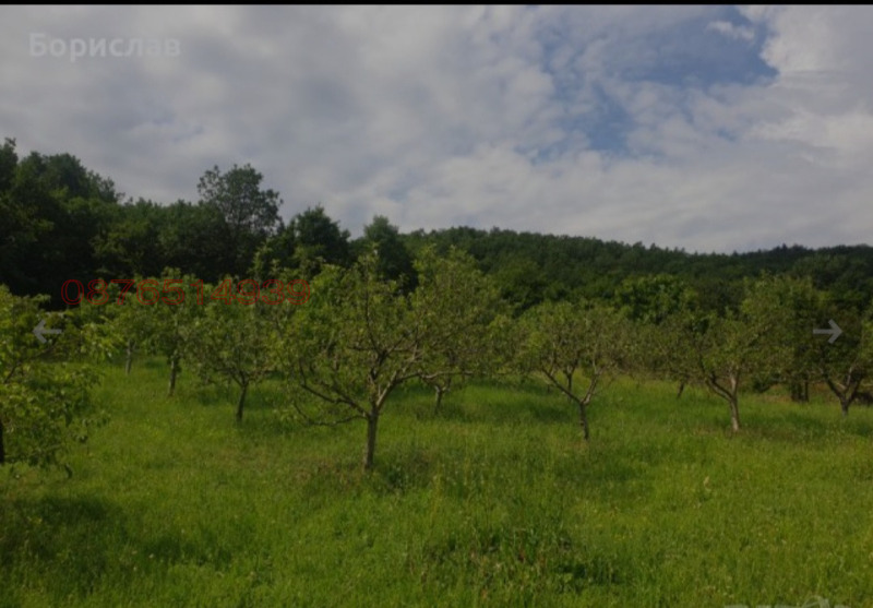 Продава ПАРЦЕЛ, гр. Брацигово, област Пазарджик