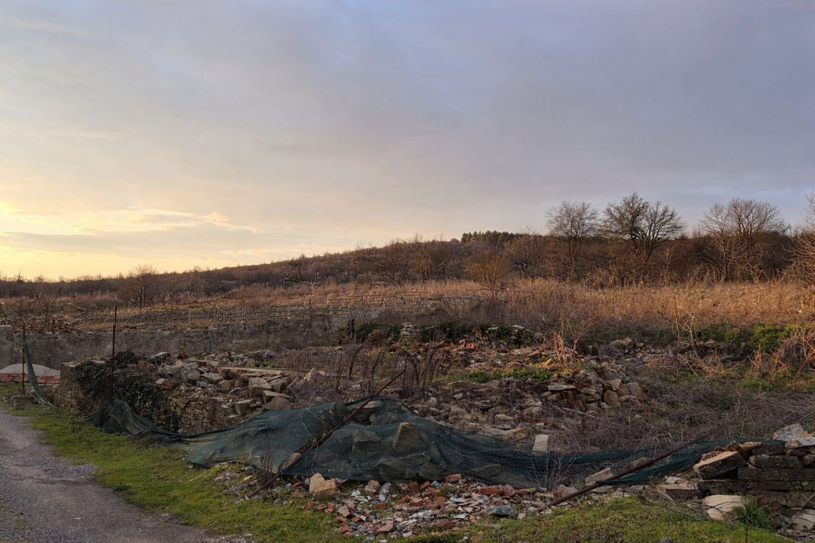 Продава ПАРЦЕЛ, с. Яворово, област Стара Загора, снимка 2 - Парцели - 54160565