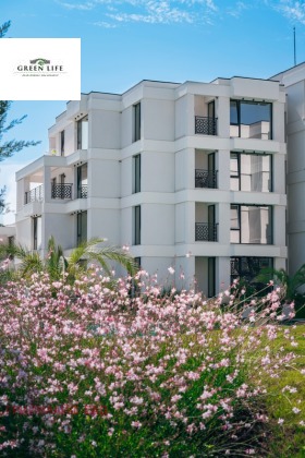 ����� ������� 2-�����,��. �������, ������ ������