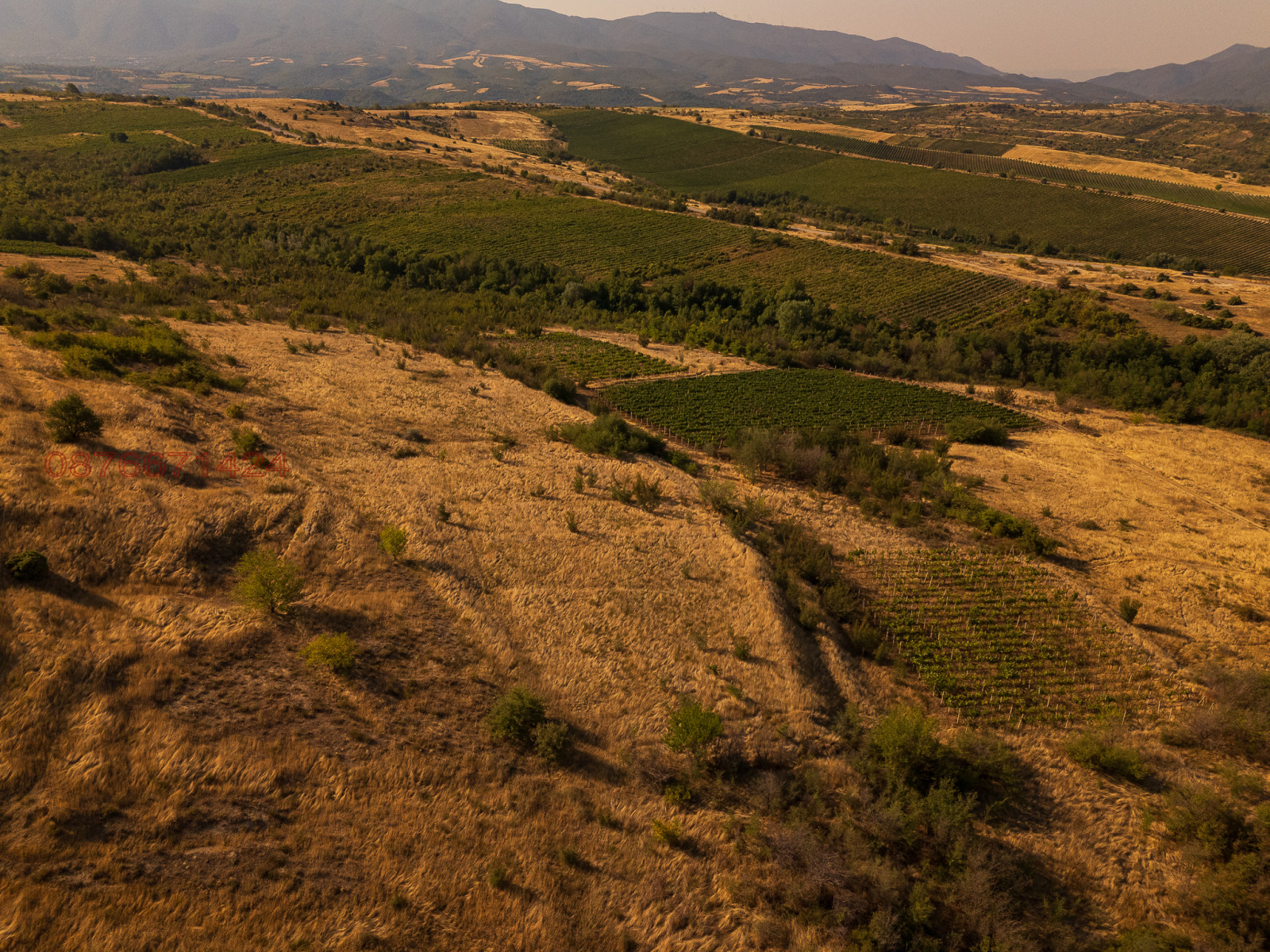 Продава ПАРЦЕЛ, с. Долно Спанчево, област Благоевград, снимка 4 - Парцели - 52942412