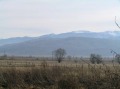 Продава ПАРЦЕЛ, с. Белчински бани, област София област, снимка 1