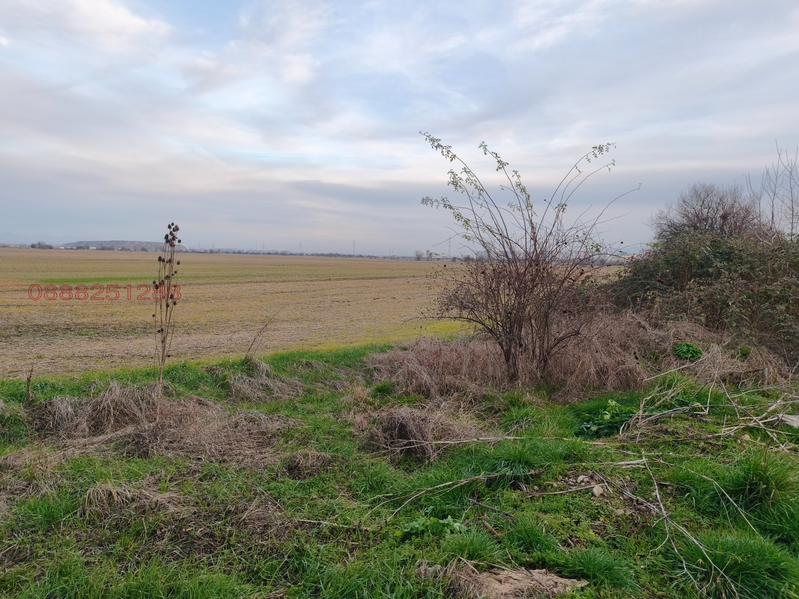 ������� ������ | Imot.bg � ����������� 5