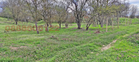 ������� ������ | Imot.bg � ����� ������ 8