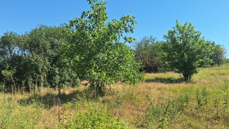 Προς πώληση  σπίτι περιοχή Βάρνα , Βαλτση δολ , 100 τ.μ | 36618606 - εικόνα [9]