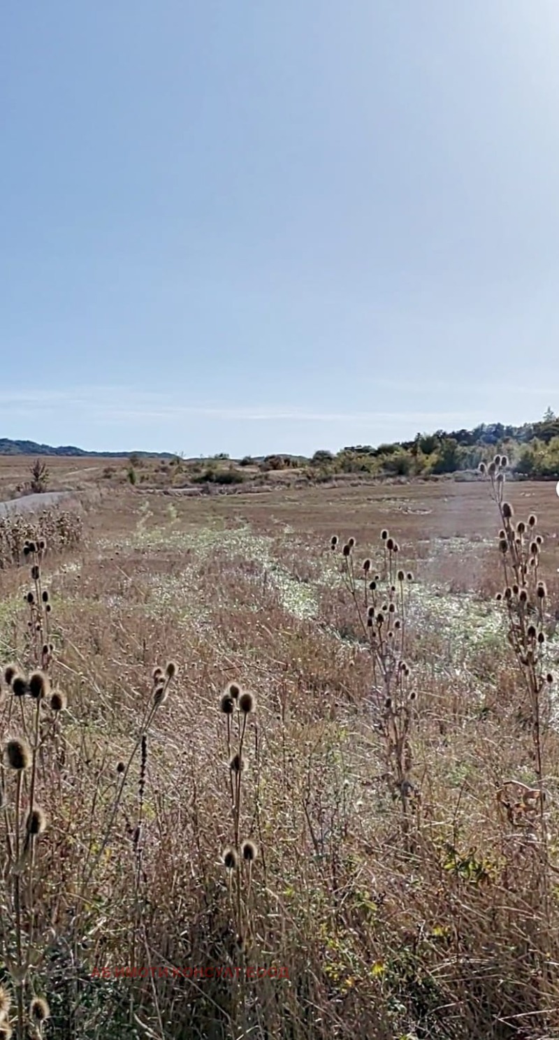 Προς πώληση  Οικόπεδο Σοφηια , Βανκια , 2000 τ.μ | 16997278 - εικόνα [3]