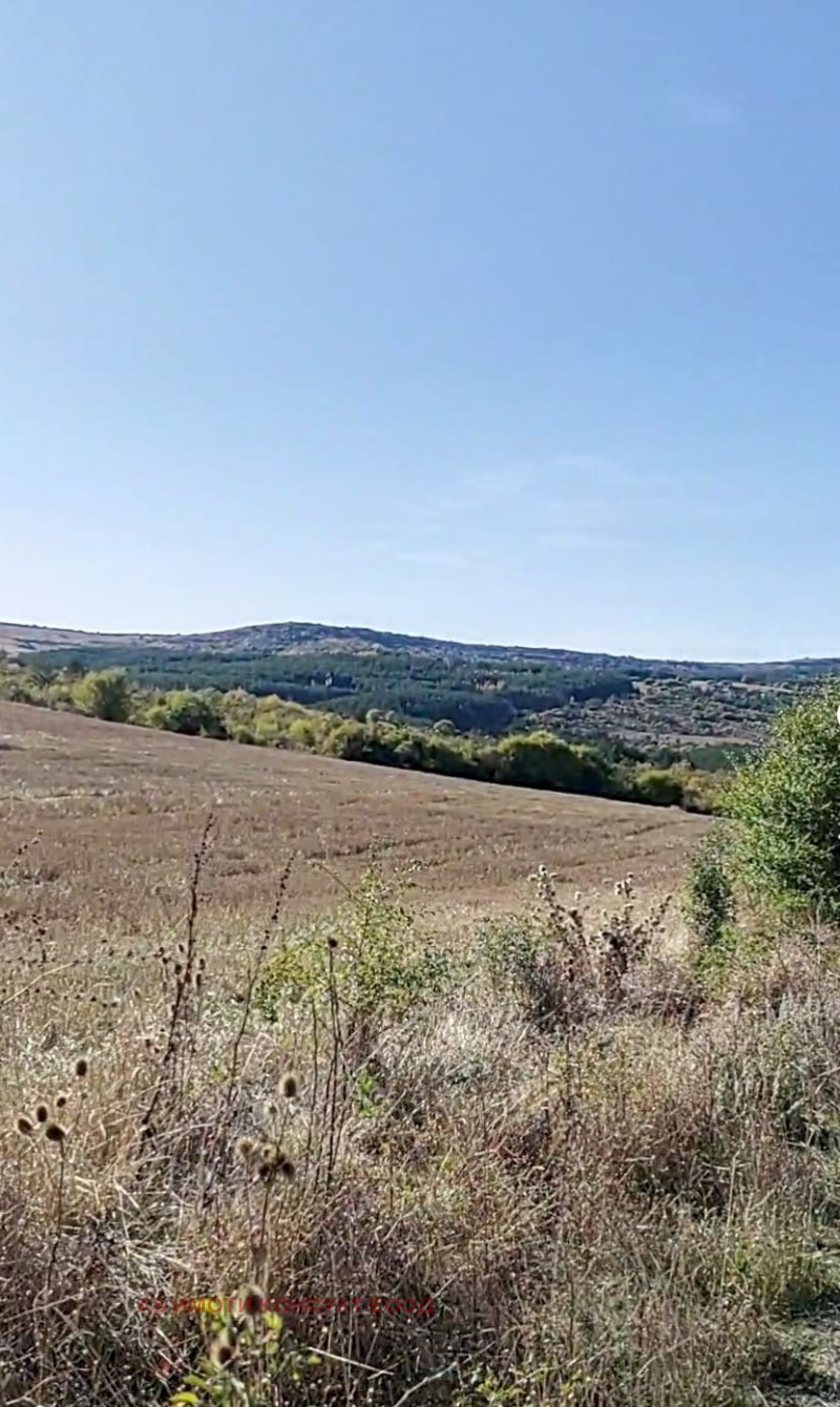 Προς πώληση  Οικόπεδο Σοφηια , Βανκια , 2000 τ.μ | 16997278 - εικόνα [2]