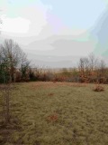 Продава КЪЩА, област Перник, с. Калище • 34990 € • 34827865 — Holmes.bg