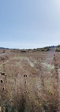 Продава ПАРЦЕЛ, град София, гр. Банкя • 70000 € • 60233423 — Holmes.bg