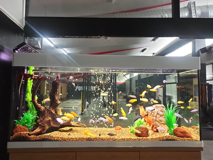 ������� ������ ���� | Imot.bg � ����������� 5