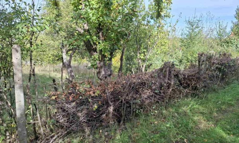 Til salg  Grund Pernik , Bela voda , 1058 kvm | 21482131 - billede [8]