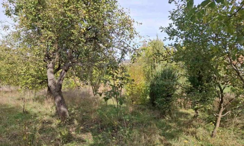 Til salg  Grund Pernik , Bela voda , 1058 kvm | 21482131 - billede [4]