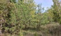Продава ПАРЦЕЛ, град Перник, Бела вода • 41440 € • 41952534 — Holmes.bg