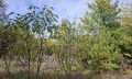 Продава ПАРЦЕЛ, град Перник, Бела вода • 41440 € • 41952534 — Holmes.bg