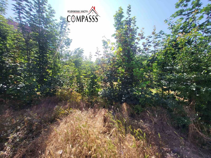 Продава  Къща област Добрич , гр. Генерал Тошево , 80 кв.м | 68088530 - изображение [16]