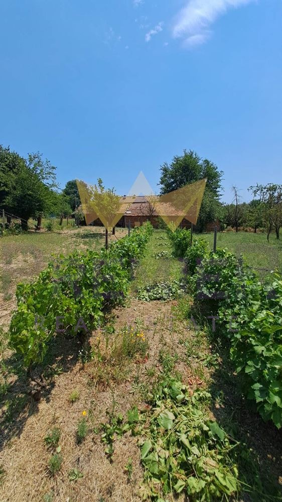 Til salgs  Hus region Varna , Dabravino , 80 kvm | 89308392 - bilde [14]