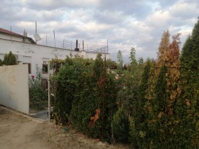 Hus Sarnevo, region Stara Zagora 4