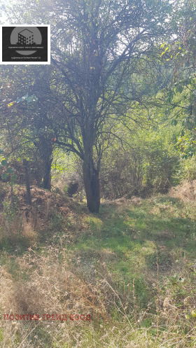 House Radlovtsi, region Kyustendil 2