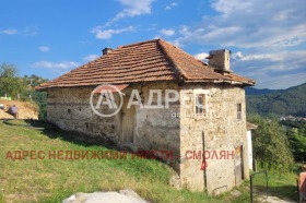 ������ ������� ����