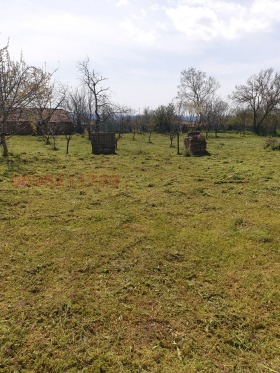 ����� ������� ����,�. ������, ������ �����