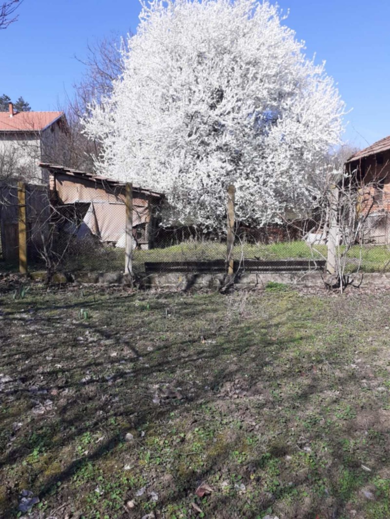 Продава КЪЩА, с. Борисово, област Русе, снимка 4 - Къщи - 52687751