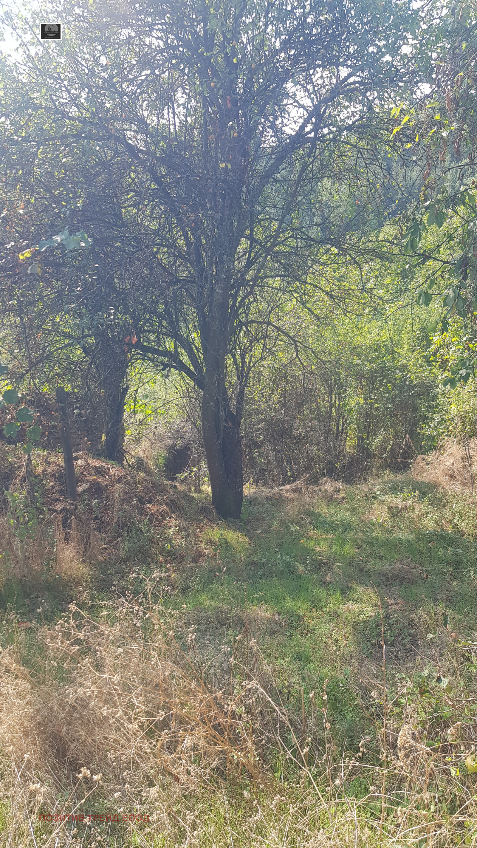 Продава КЪЩА, с. Радловци, област Кюстендил, снимка 2 - Къщи - 47145104