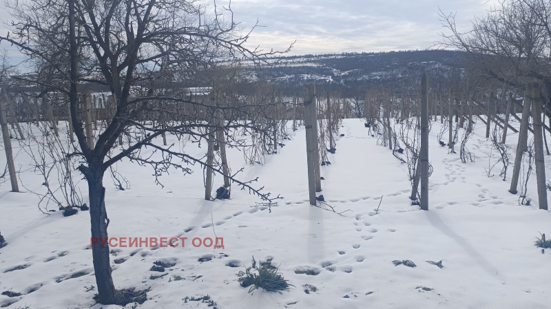 Продава ПАРЦЕЛ в град Русе, Басарбово - 892 кв.м / 63 000 € » 123 217.29 лв., РУСЕИНВЕСТ ООД