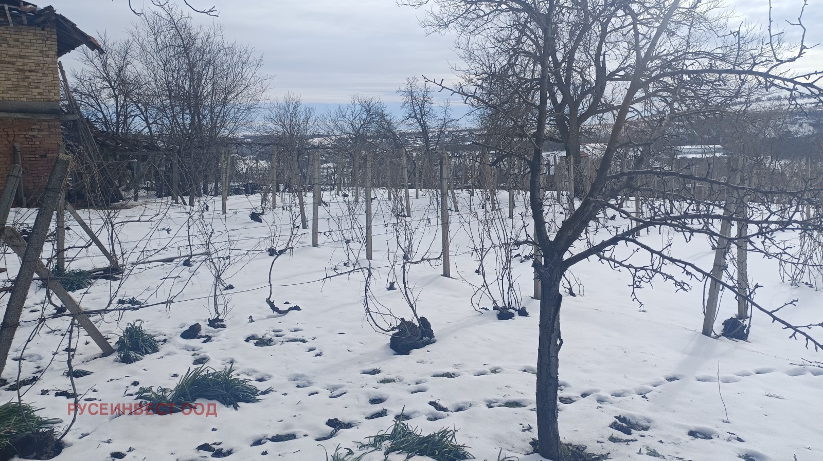 ������� ������ | Imot.bg � ����������� 4