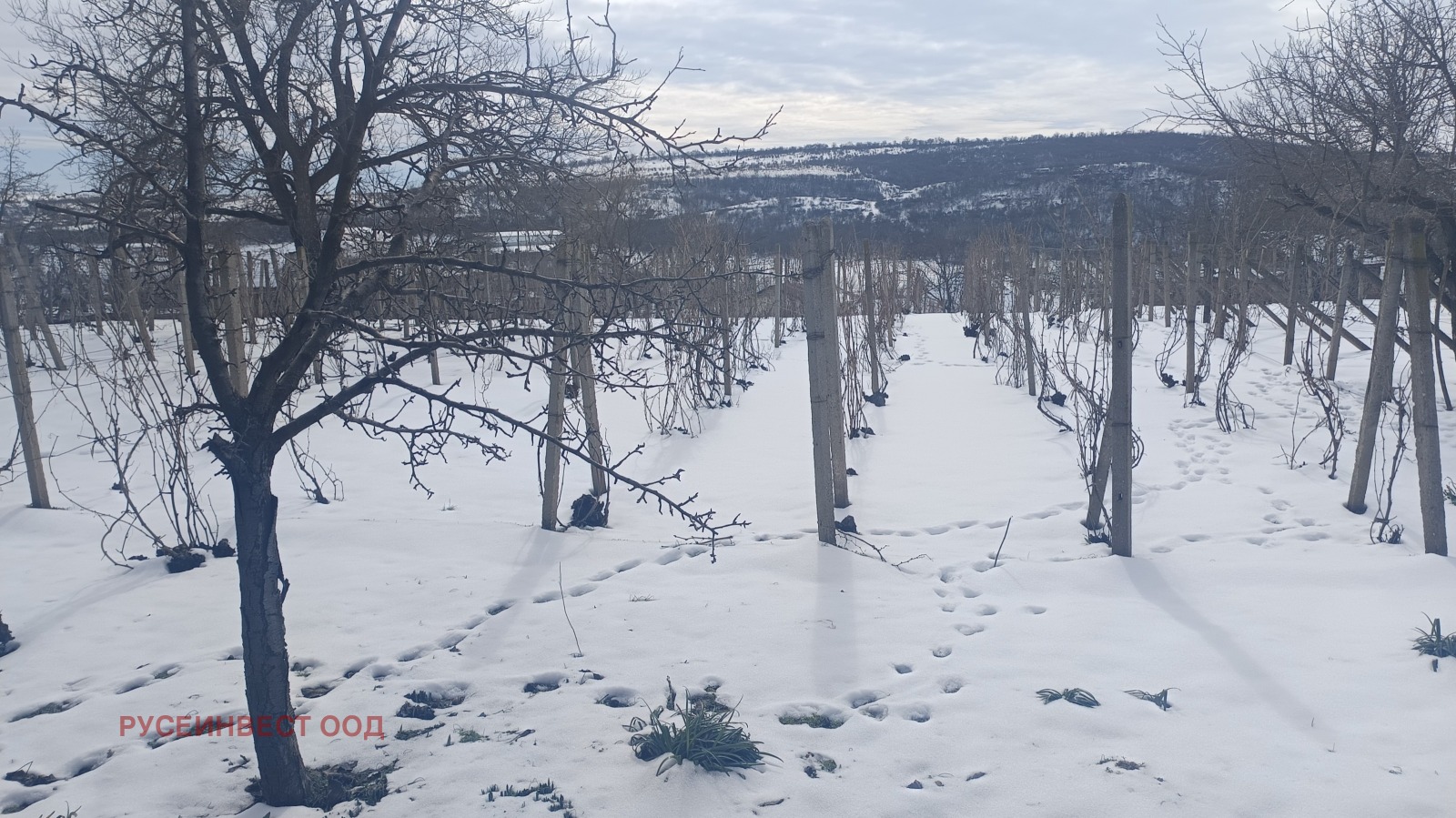 ������� ������ | Imot.bg � ����������� 1